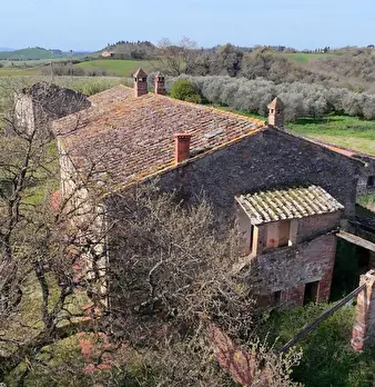 Foto annuncio 18