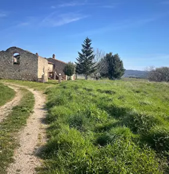Foto annuncio 10