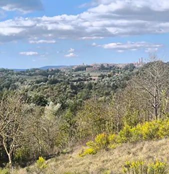 Foto annuncio 24