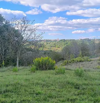 Foto annuncio 25