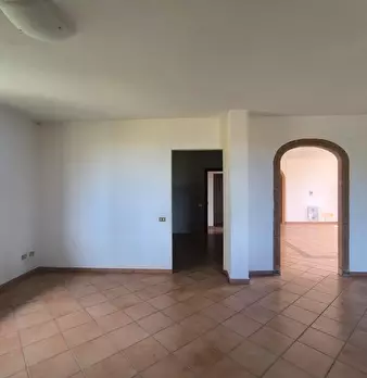 Foto annuncio 88