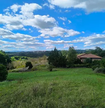 Foto annuncio 6