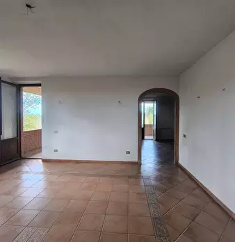 Foto annuncio 99