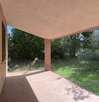 Foto annuncio 52