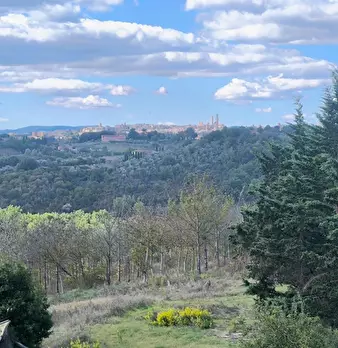 Foto annuncio 4