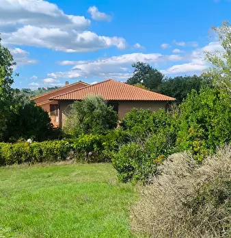Foto annuncio 19