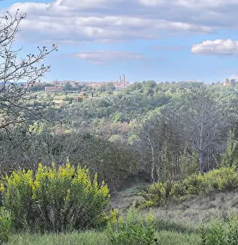 Foto annuncio 26