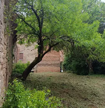 Foto annuncio 94