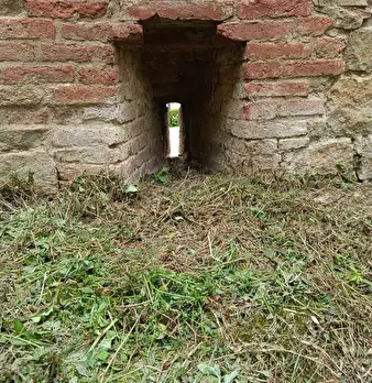 Foto annuncio 101