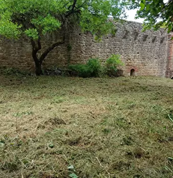 Foto annuncio 93