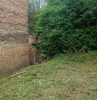 Foto annuncio 100