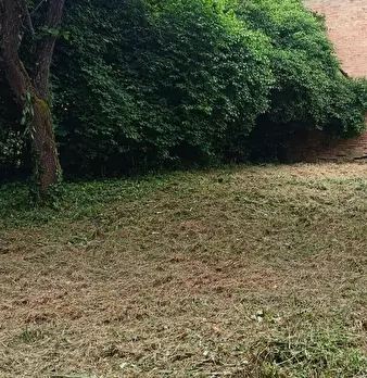 Foto annuncio 89