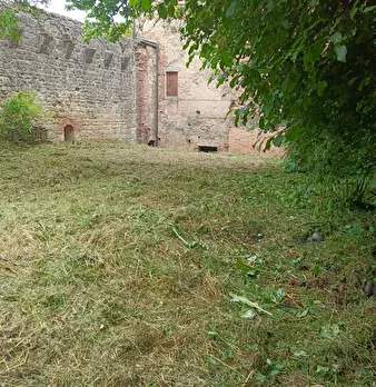 Foto annuncio 95