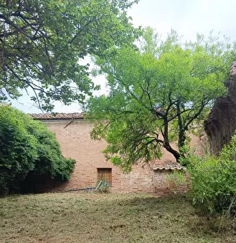 Foto annuncio 102
