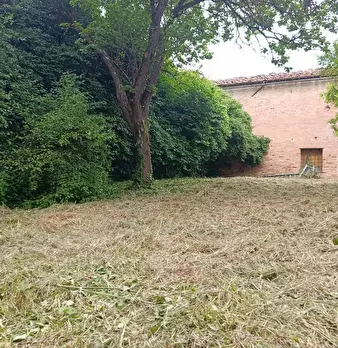 Foto annuncio 106