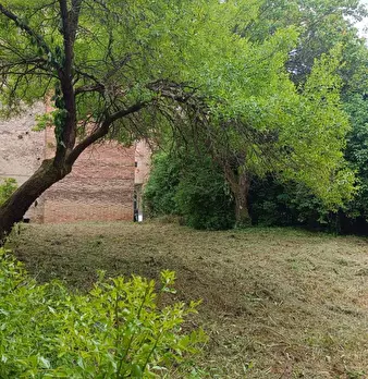 Foto annuncio 97