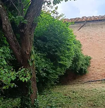 Foto annuncio 88