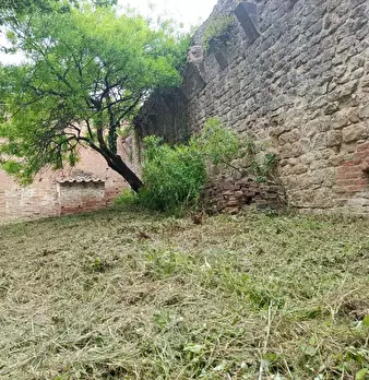 Foto annuncio 104