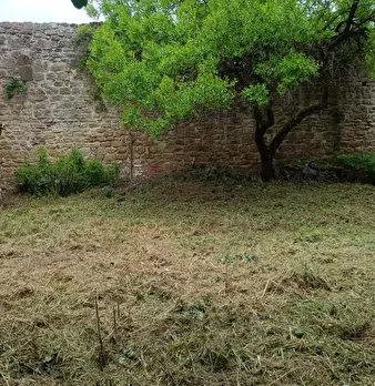 Foto annuncio 92
