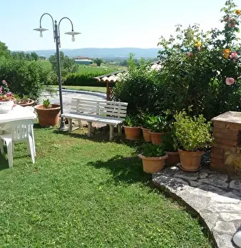 Foto annuncio 5
