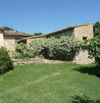 Foto annuncio 8