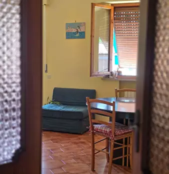 Foto annuncio 7