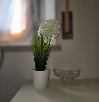 Foto annuncio 19