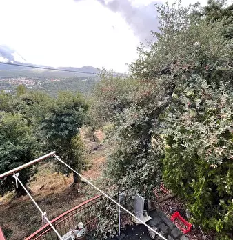 Foto annuncio 14