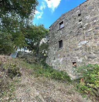 Foto annuncio 100