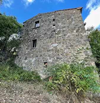 Foto annuncio 99