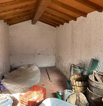 Foto annuncio 31