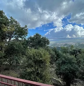Foto annuncio 9