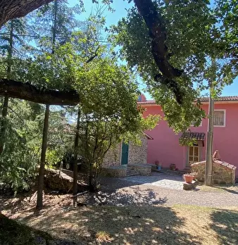 Foto annuncio 1