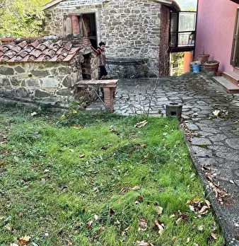 Foto annuncio 35