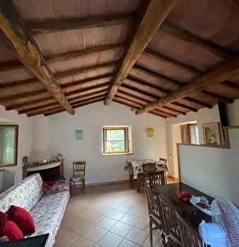 Foto annuncio 28