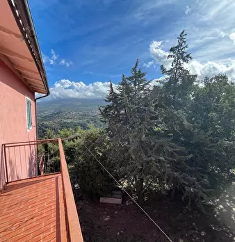 Foto annuncio 64
