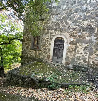 Foto annuncio 95