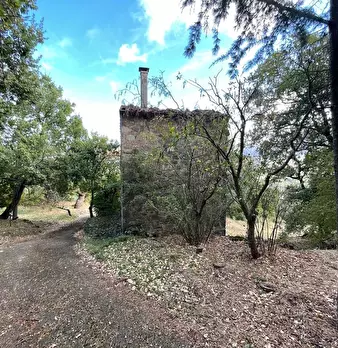 Foto annuncio 91