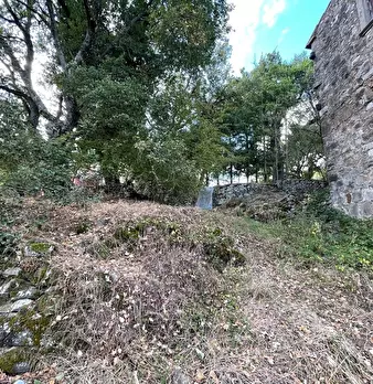 Foto annuncio 102