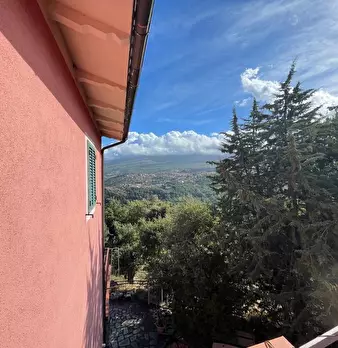Foto annuncio 66