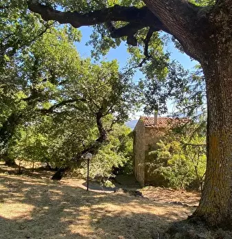 Foto annuncio 7