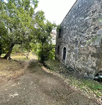 Foto annuncio 93