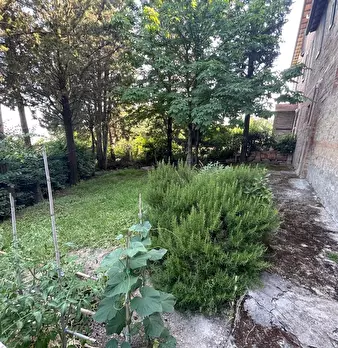 Foto annuncio 64