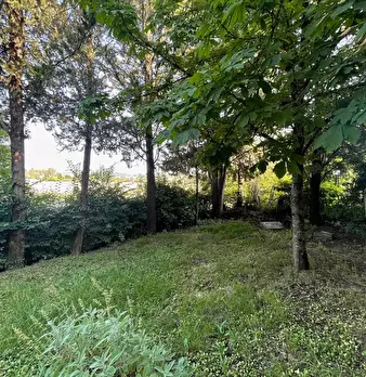 Foto annuncio 65