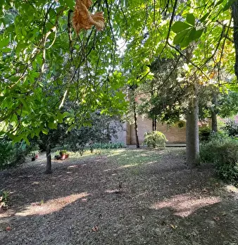Foto annuncio 71