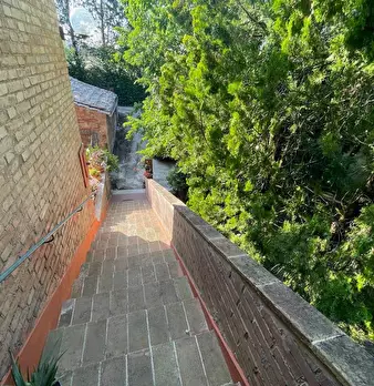 Foto annuncio 73