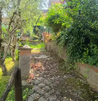 Foto annuncio 13