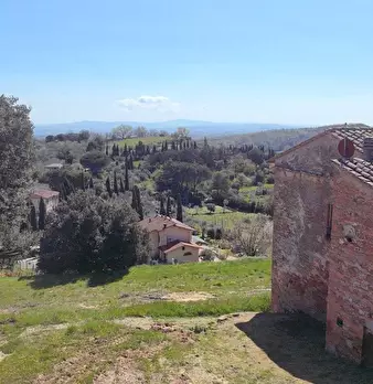 Foto annuncio 24