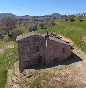 Foto annuncio 10