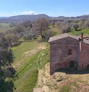 Foto annuncio 1